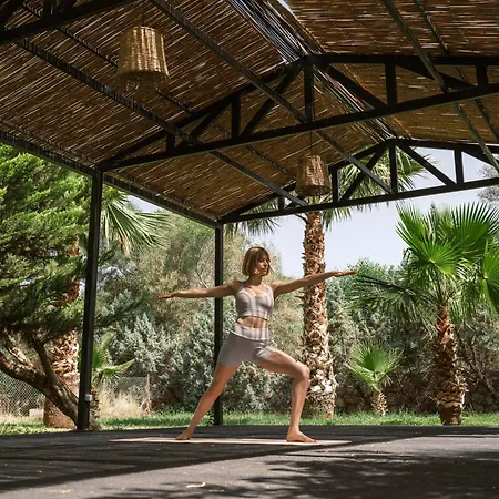 Flow Surf & Hotel 3*