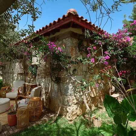 Flow Surf & מלון דטקה