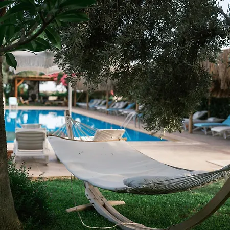 فلو داتكا سيرف آند بيتش داتْشا