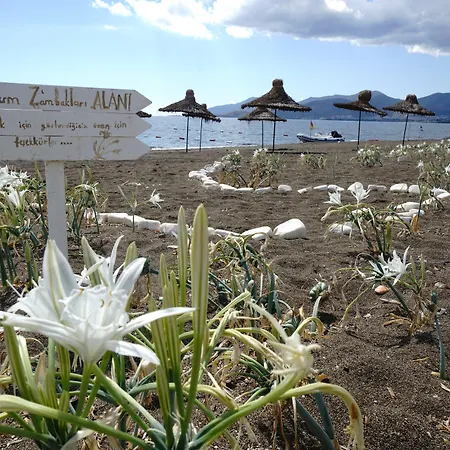 Flow Surf & 3* Datça