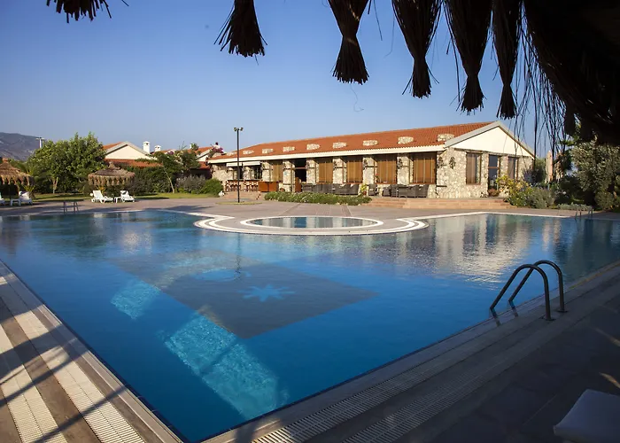 Flow Surf & מלון