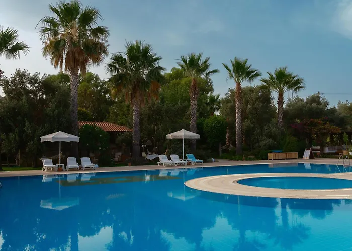 Flow Surf & 3* דטקה