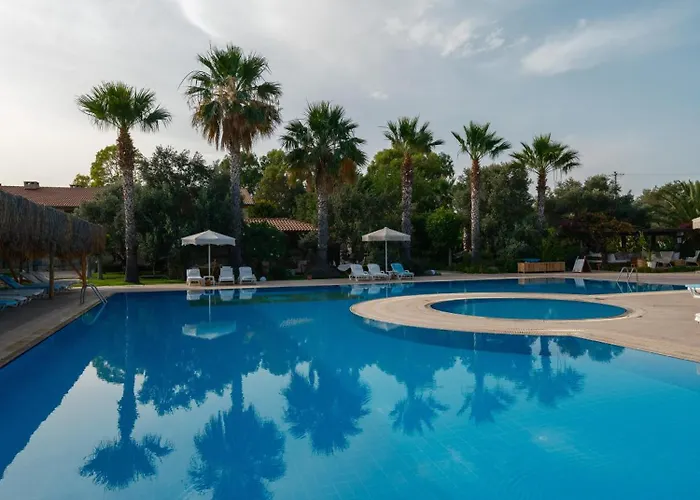 Flow Surf & מלון