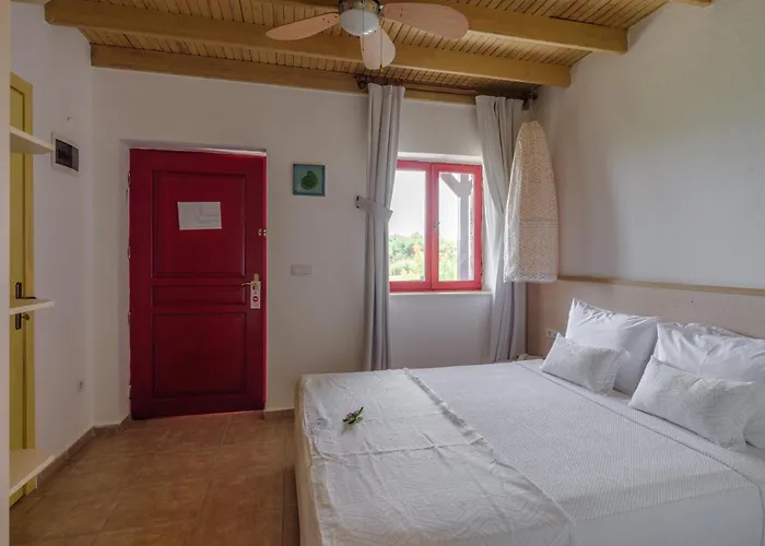 Flow Surf & מלון