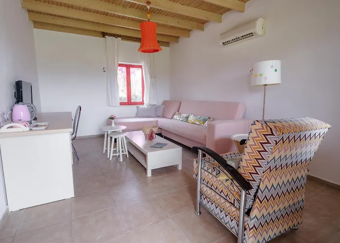 Flow Surf & דטקה