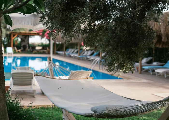 Flow Surf & דטקה