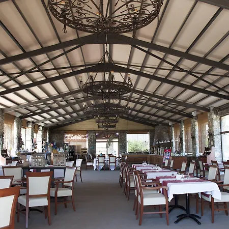 酒店 弗洛达特卡冲浪及海滩酒店 达特恰