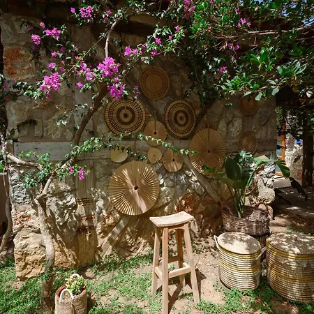 弗洛达特卡冲浪及海滩酒店 酒店 达特恰