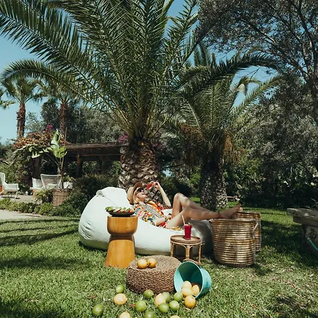 酒店 弗洛达特卡冲浪及海滩酒店 达特恰