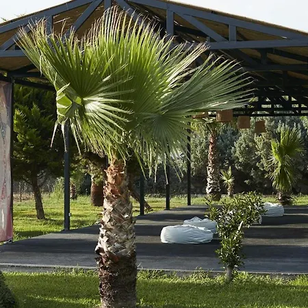 فندق فلو داتكا سيرف آند بيتش داتْشا